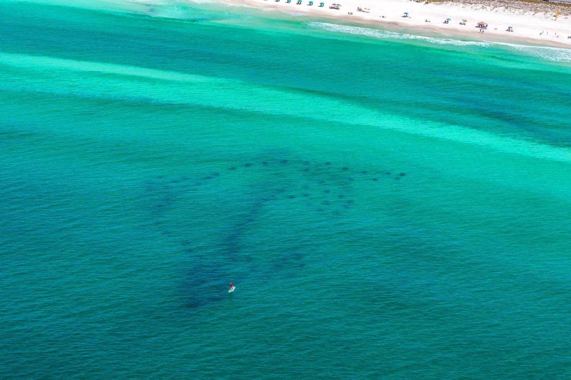 Aqua Vida Villa Destin Exteriör bild